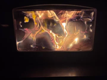 [Hearth.com] What Is In Your Stove Right Now?