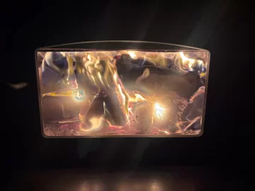 [Hearth.com] What Is In Your Stove Right Now?