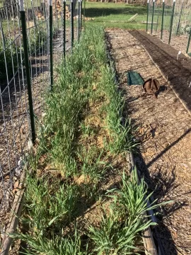 [Hearth.com] 2026 Garden Thread