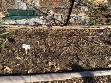 [Hearth.com] 2026 Garden Thread