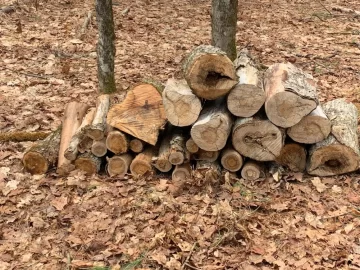 [Hearth.com] Work Done In 2026