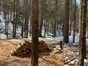 [Hearth.com] Work Done In 2026