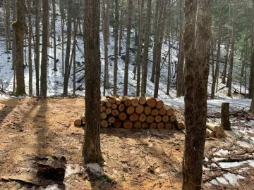 [Hearth.com] Work Done In 2026