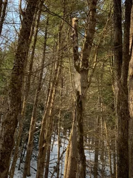 [Hearth.com] Work Done In 2026