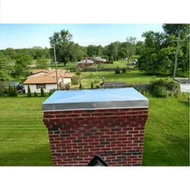 [Hearth.com] Stainless steel  chimney crown cover
