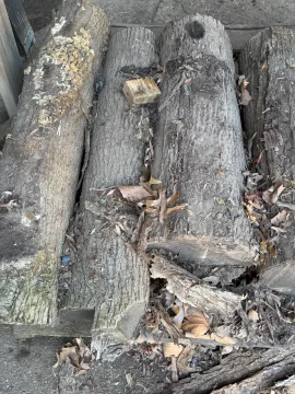 [Hearth.com] What Species?