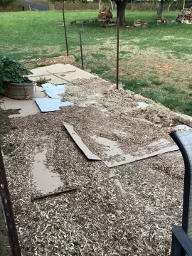[Hearth.com] 2026 Garden Thread