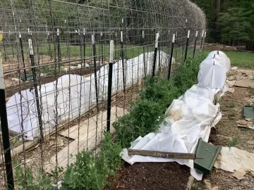[Hearth.com] 2026 Garden Thread