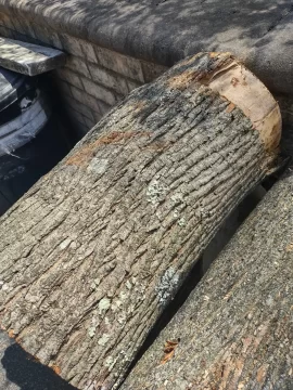 [Hearth.com] wood id please?