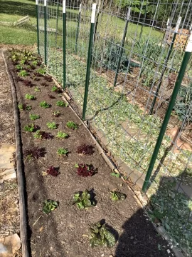 [Hearth.com] 2026 Garden Thread