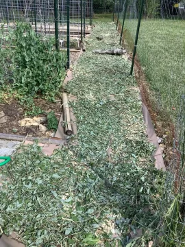 [Hearth.com] 2026 Garden Thread