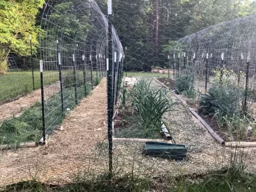 [Hearth.com] 2026 Garden Thread
