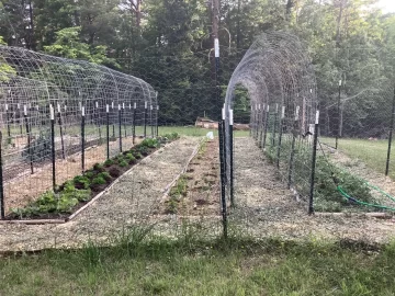 [Hearth.com] 2026 Garden Thread