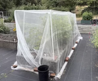 [Hearth.com] 2026 Garden Thread