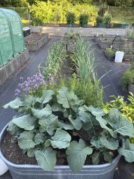 [Hearth.com] 2026 Garden Thread