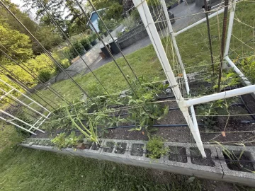 [Hearth.com] 2026 Garden Thread