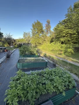 [Hearth.com] 2026 Garden Thread