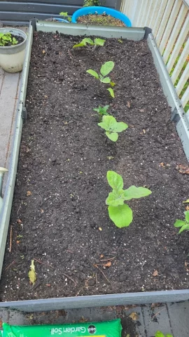 [Hearth.com] 2026 Garden Thread