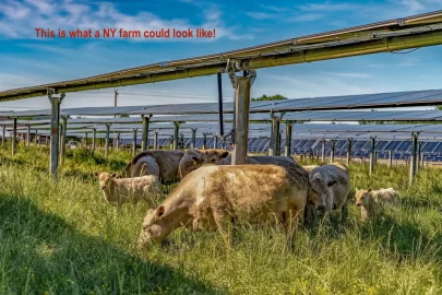 [Hearth.com] New York State solar farm corruption