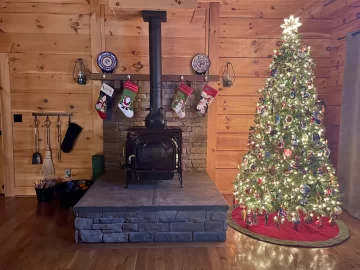 [Hearth.com] Free standing stove for in fireplace?