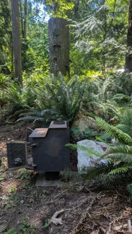 [Hearth.com] Min clearance for a Fisher with CSA label, but no clearances on it