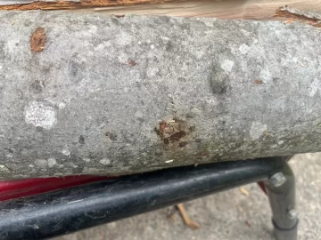 [Hearth.com] Wood id