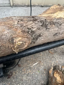 [Hearth.com] Wood id