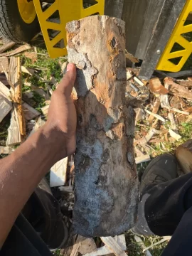 [Hearth.com] Wood id