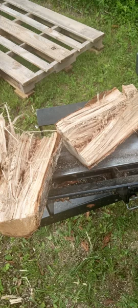 [Hearth.com] Another township brush pile score