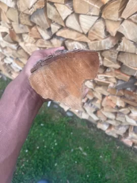 [Hearth.com] Wood id