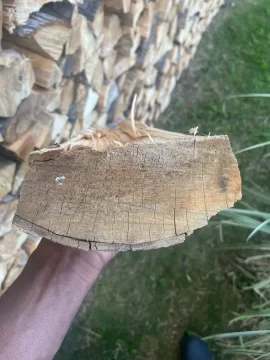 [Hearth.com] Wood id