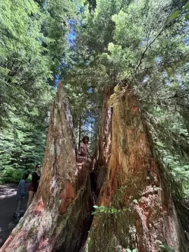 [Hearth.com] Road trip camping with a large family
