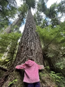 [Hearth.com] Road trip camping with a large family