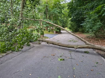 [Hearth.com] 2026 severe weather