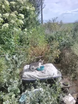 [Hearth.com] 2026 Garden Thread
