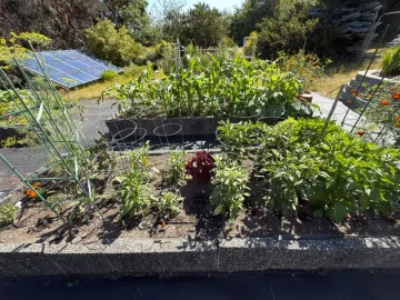 [Hearth.com] 2026 Garden Thread