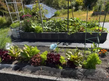 [Hearth.com] 2026 Garden Thread