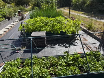 [Hearth.com] 2026 Garden Thread