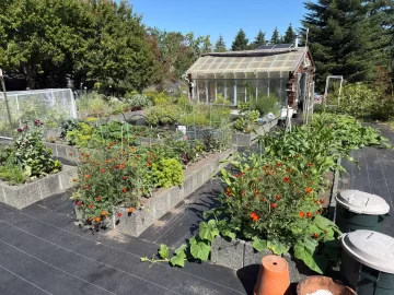 [Hearth.com] 2026 Garden Thread