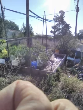 [Hearth.com] 2026 Garden Thread