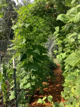 [Hearth.com] 2026 Garden Thread