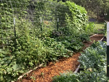 [Hearth.com] 2026 Garden Thread