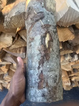 [Hearth.com] What firewood species are these?