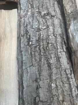 [Hearth.com] What firewood species are these?