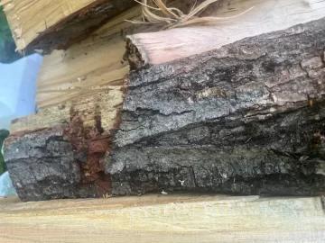[Hearth.com] What firewood species are these?