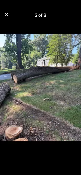 [Hearth.com] Free wood - FYI