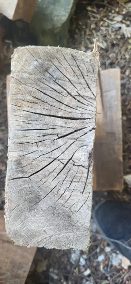 [Hearth.com] Twenty yards of white oak and hickory delivered today.