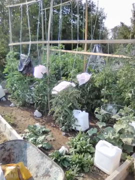 [Hearth.com] 2026 Garden Thread