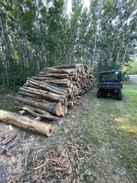 [Hearth.com] Load Of Oak Logs