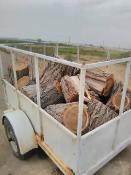 [Hearth.com] What’s Your Go-To Firewood and Why?